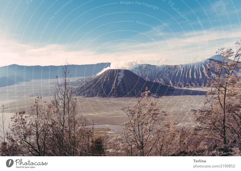 Mount Bromo Natur Landschaft Urelemente Erde Sand Sommer Schönes Wetter Sträucher Wüste Vulkan Vulkankrater beobachten Blick wandern authentisch bedrohlich