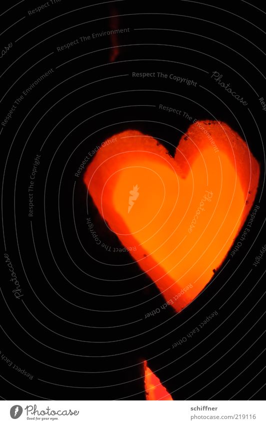 400 - me love pc - und Erwin Zeichen Herz leuchten Liebe herzlich herzförmig Kürbis Halloween geschnitzt schwarz orange rot Beleuchtung Kerzenschein