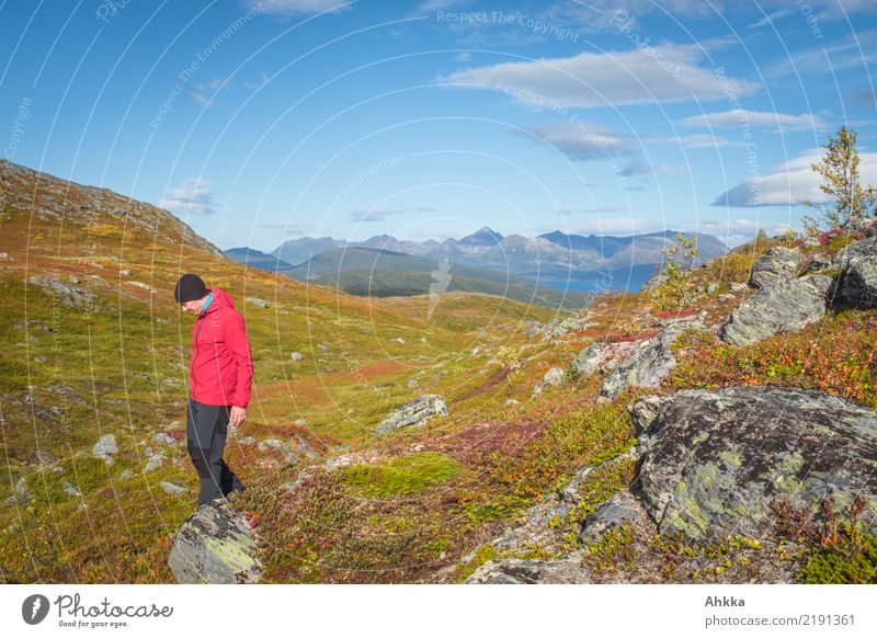 Schönwetterspaziergang Ferien & Urlaub & Reisen Ausflug Abenteuer Junger Mann Jugendliche Natur Landschaft Himmel Herbst Schönes Wetter Felsen Berge u. Gebirge