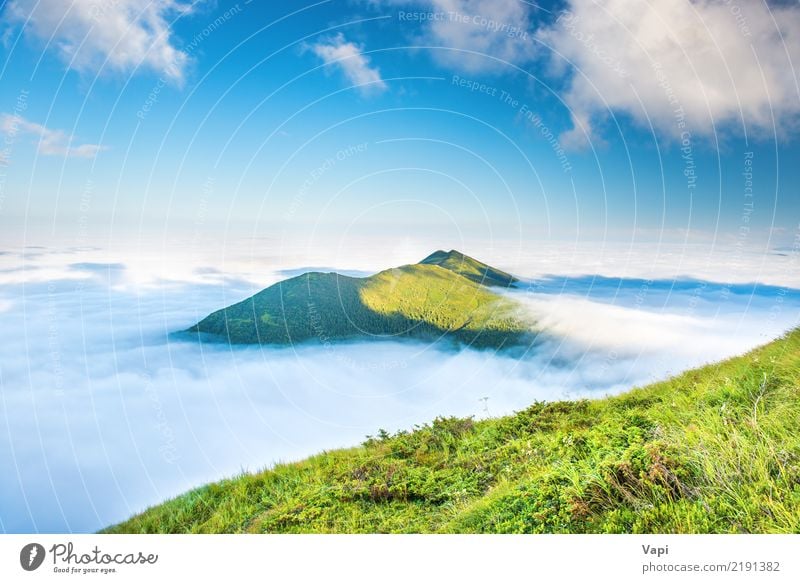 Grüne Berge in den Wolken schön Ferien & Urlaub & Reisen Tourismus Ferne Sommer Sonne Berge u. Gebirge Natur Landschaft Himmel Nebel Gras Hügel natürlich blau