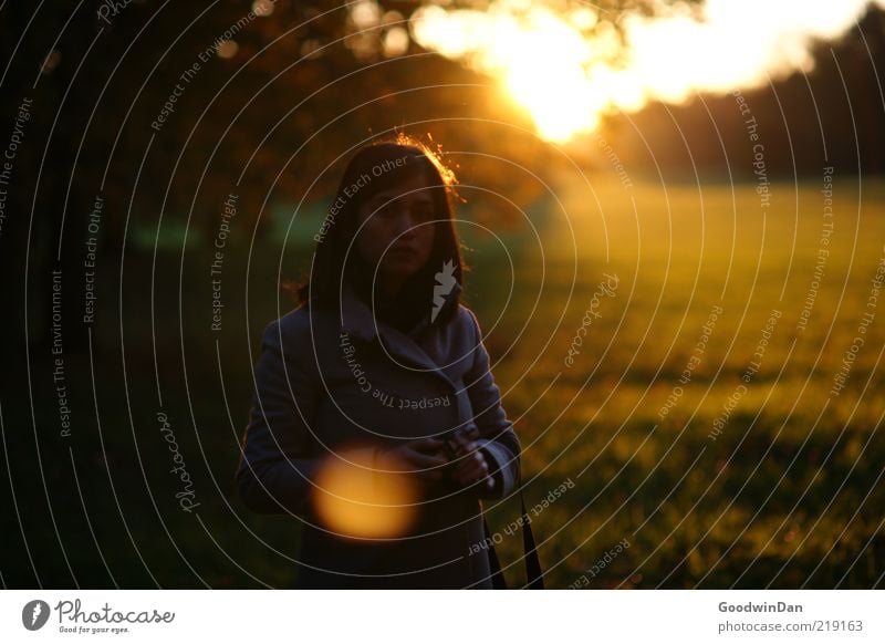 Licht. II Mensch feminin Junge Frau Jugendliche Erwachsene Leben 1 Umwelt Natur Baum Gras Wiese atmen warten kalt Gefühle Stimmung frei Herbst Ferne schön