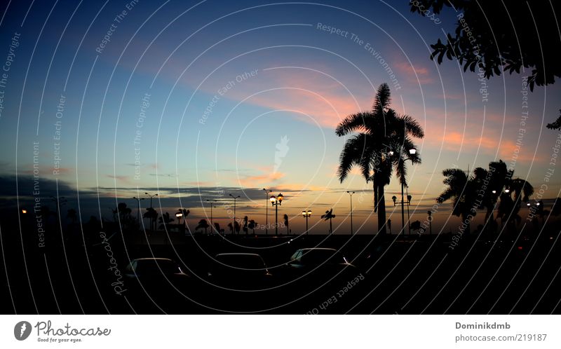 Dämmerung Lifestyle Ferien & Urlaub & Reisen Freiheit Ruhestand Natur Himmel Wolken Nachthimmel Sonnenaufgang Sonnenuntergang Sommer Klima Schönes Wetter