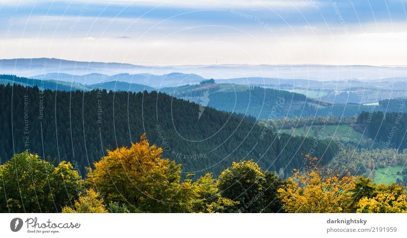 Panorama Siegerland und Wittgenstein von der Ginsberger Heide Ferien & Urlaub & Reisen Ausflug Sommer Berge u. Gebirge wandern Natur Landschaft Pflanze Horizont