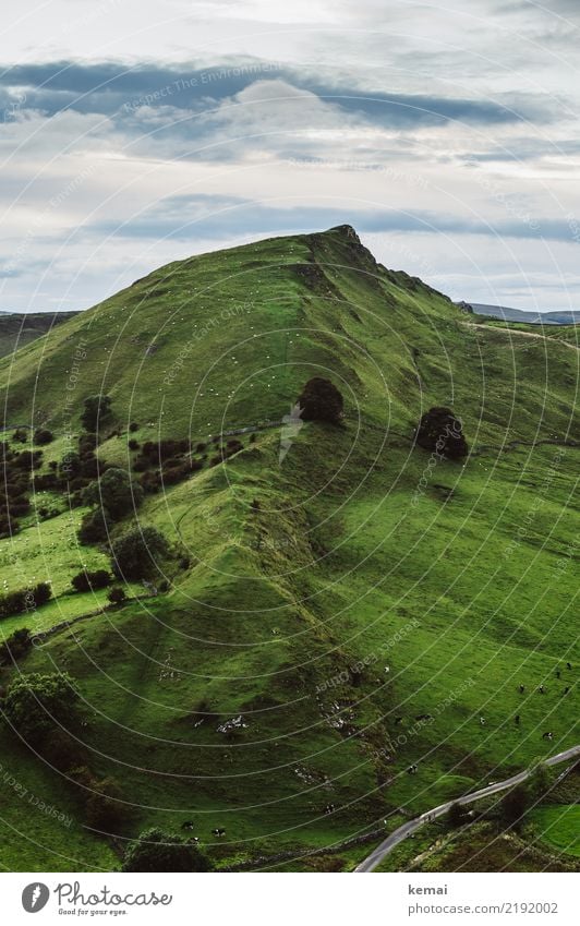 Chrome Hill harmonisch Wohlgefühl Zufriedenheit Erholung ruhig Freizeit & Hobby Ausflug Abenteuer Ferne Freiheit Sommer wandern Natur Landschaft Himmel Wolken