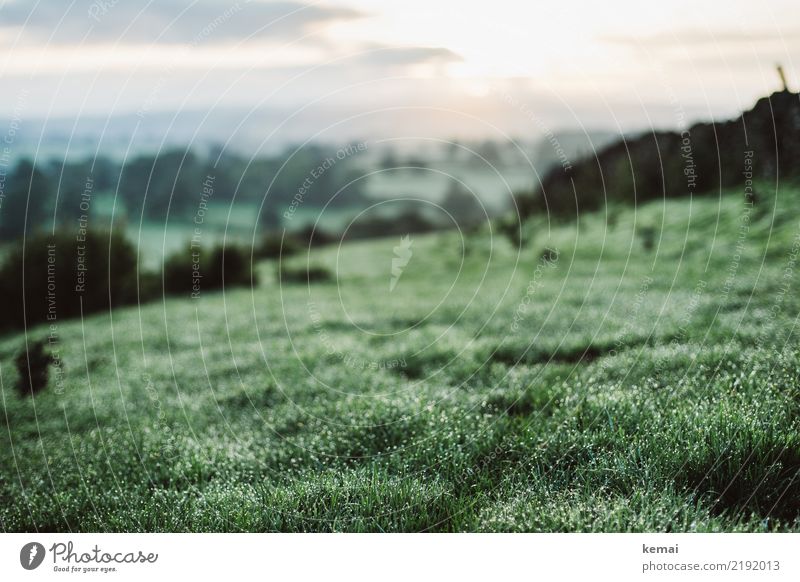 Tau Leben harmonisch Wohlgefühl Zufriedenheit Erholung ruhig Freizeit & Hobby Ausflug Abenteuer Ferne Freiheit Umwelt Natur Landschaft Himmel Sommer