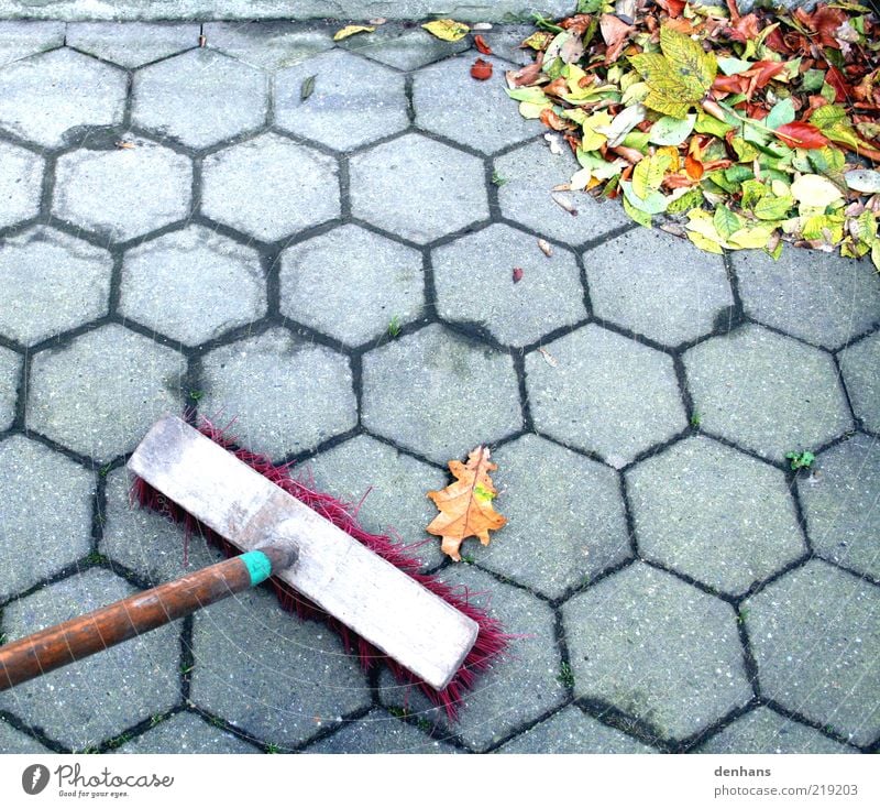 wehr dich! Gartenarbeit Besen Herbst Blatt Terrasse Bürgersteig straßenbesen gebrauchen Reinigen Sauberkeit viele grau grün rot anstrengen Genauigkeit Natur