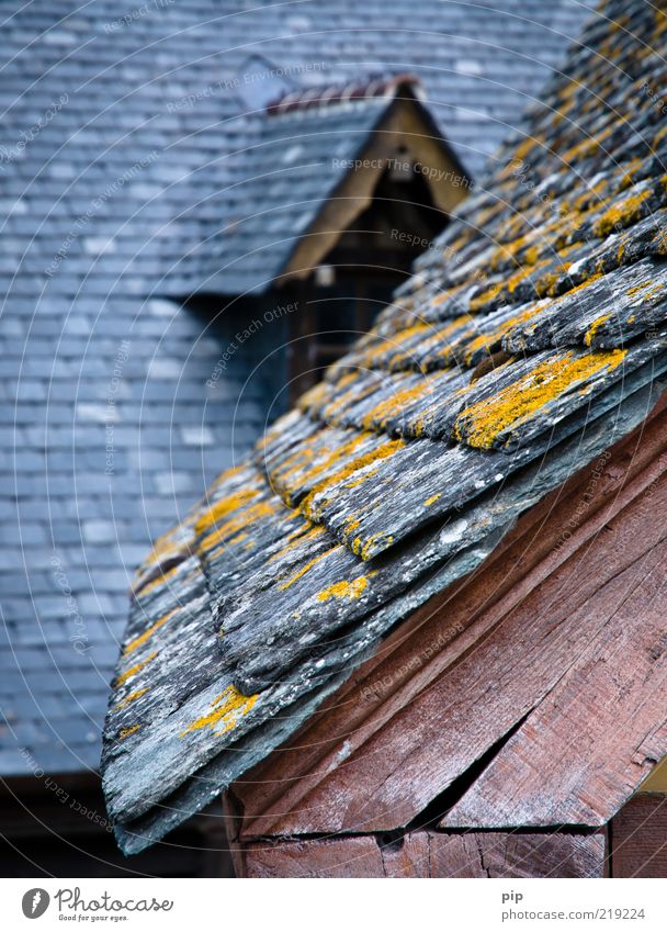 noch schiefer Moos Flechten Haus Burg oder Schloss Denkmalschutz Dach Dachgaube first Dachgebälk Schiefer verschiefert Holz alt grau rosa Schutz oben hoch Riss