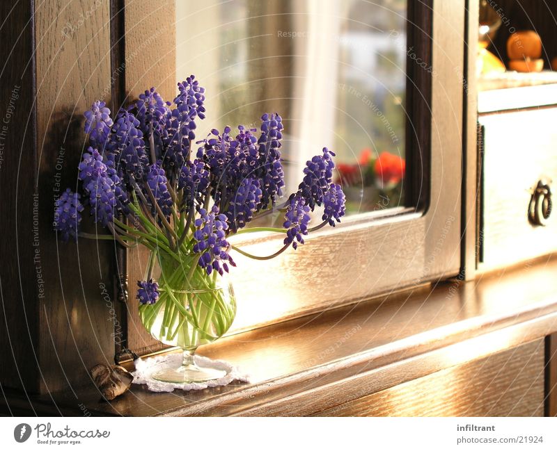 Stillleben Blume Blüte Stimmung Frühling Pflanze Blumenstrauß Schrank Möbel Dekoration & Verzierung