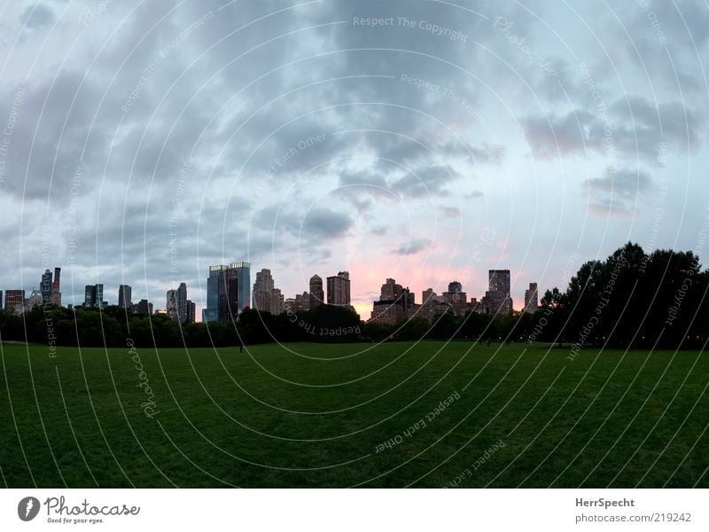 Sheep Meadow at Dusk Baum Park Wiese New York City Central Park grau grün Skyline Hochhaus leer friedlich Abenddämmerung Wolkenhimmel Wolkenformation Farbfoto