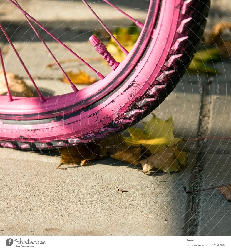 rosa eben Wege & Pfade Beton Mobilität Wandel & Veränderung Fahrradreifen Ventil Reifenprofil Speichen Blatt Herbst Herbstlaub Farbfoto mehrfarbig Außenaufnahme