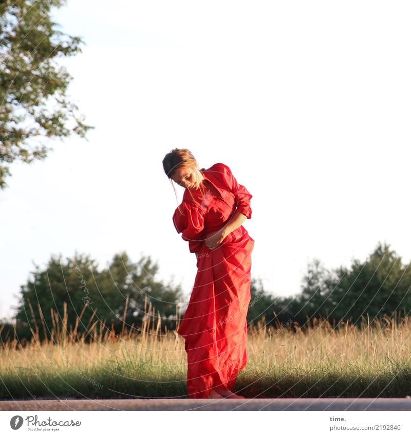 lil't feminin Frau Erwachsene 1 Mensch Sommer Schönes Wetter Baum Gras Wiese Wald Kleid brünett langhaarig beobachten Bewegung drehen festhalten Blick stehen