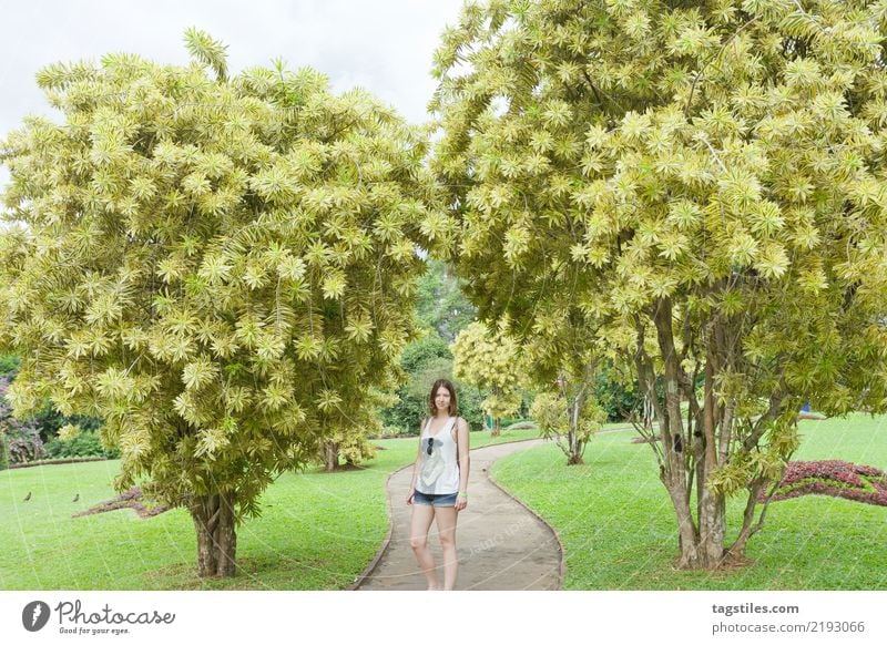 Frau im Park, Peradeniya, Sri Lanka, Asien Sträucher schmächtig fettarm Freundlichkeit dürr dünn leicht schlank Beautyfotografie schön klein niedlich süß