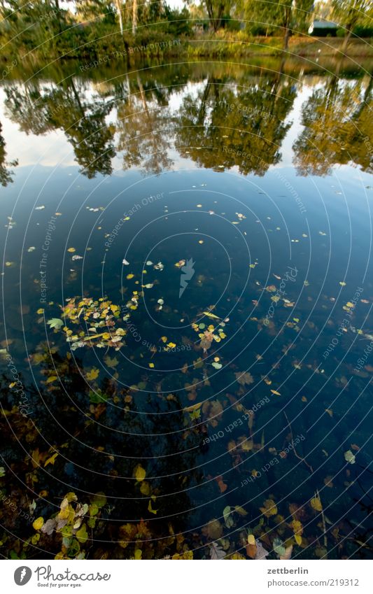 Hohenzollenkanal Umwelt Natur Landschaft Pflanze Wasser Himmel Herbst Flussufer Sehnsucht Einsamkeit Reflexion & Spiegelung Wasseroberfläche Blatt Farbfoto