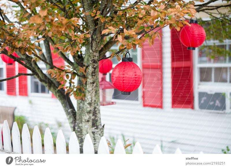 Weihnachtsbaum Herbst Baum Einfamilienhaus außergewöhnlich Neuengland Lampion Christbaumkugel Weihnachten & Advent Halloween leuchten Idylle Farbfoto mehrfarbig