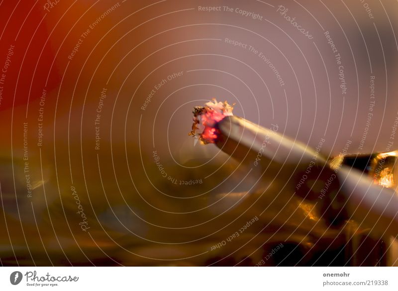 Smoke Rauchen Aschenbecher Zigarettenasche Erholung nah weich braun rot weiß ruhig Drogensucht Vergänglichkeit Farbfoto Innenaufnahme Nahaufnahme Detailaufnahme