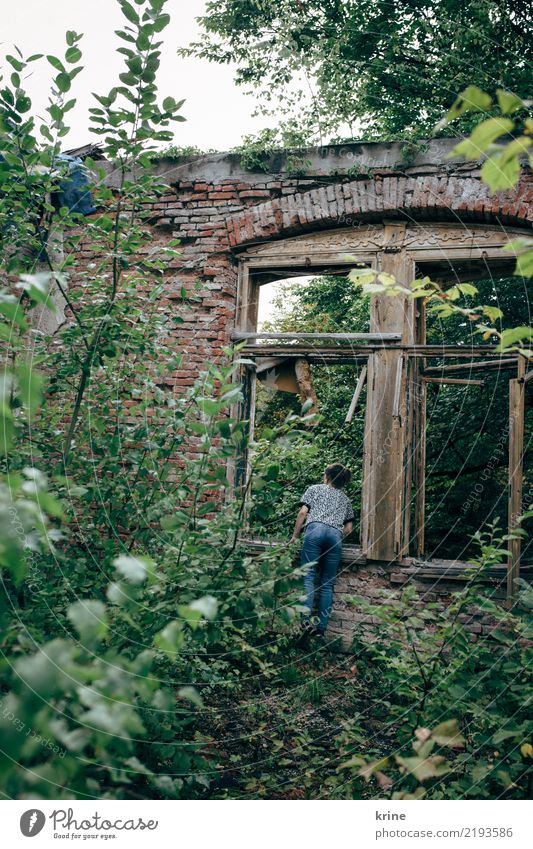 jemand zuhause? feminin Frau Erwachsene 1 Mensch 18-30 Jahre Jugendliche 30-45 Jahre Natur Wald Haus Ruine Fenster Blick warten Häusliches Leben ästhetisch