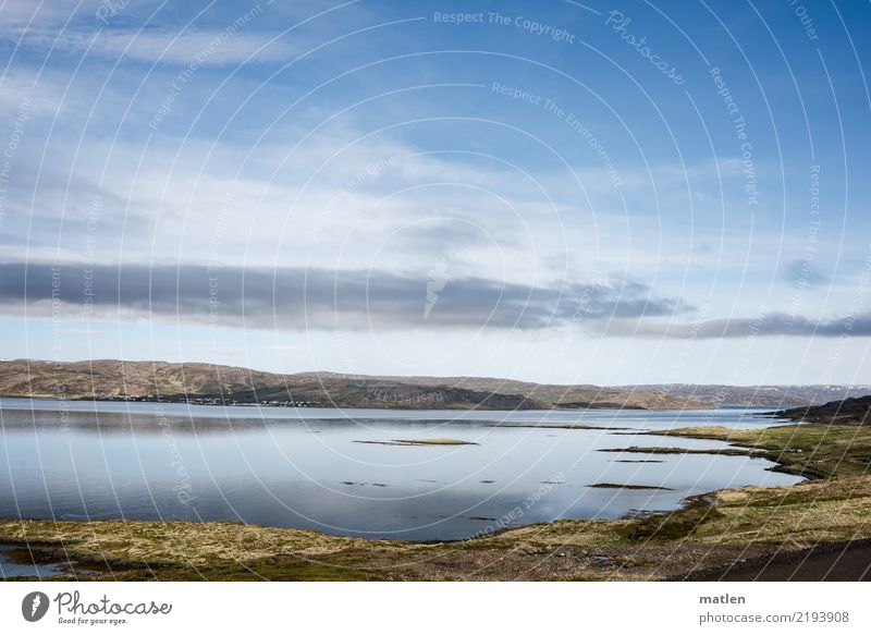 windstill Natur Landschaft Pflanze Luft Wasser Himmel Wolken Horizont Frühling Schönes Wetter Gras Moos Hügel Küste Fjord Insel blau braun gelb grün Island