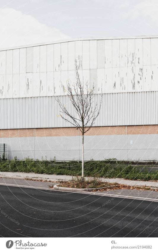 stille straßen Himmel Herbst Baum Stadtrand Industrieanlage Fabrik Gebäude Architektur Mauer Wand Verkehr Verkehrswege Straße Wege & Pfade trist Farbfoto