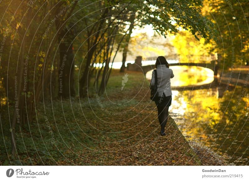 Träume IV Mensch feminin Junge Frau Jugendliche Umwelt Natur Wasser Schönes Wetter Park Bach atmen Gefühle Stimmung frei gehen distanzieren Ferne traumhaft