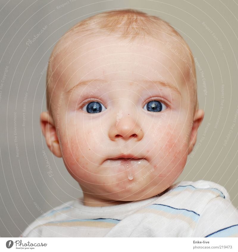 kleiner Bruder Baby Junge Gesicht 1 Mensch 0-12 Monate beobachten Denken hören Blick blond nah Neugier niedlich Zufriedenheit achtsam authentisch Interesse