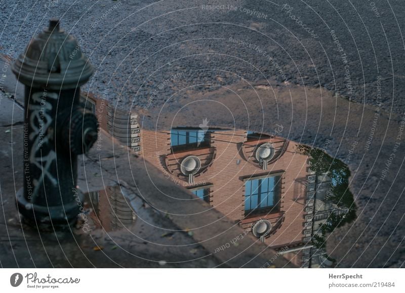 Lache - mal wieder Menschenleer Haus Fassade Wasser braun schwarz Pfütze Wasserlache Hydrant Straße Bordsteinkante Farbfoto Außenaufnahme Textfreiraum rechts