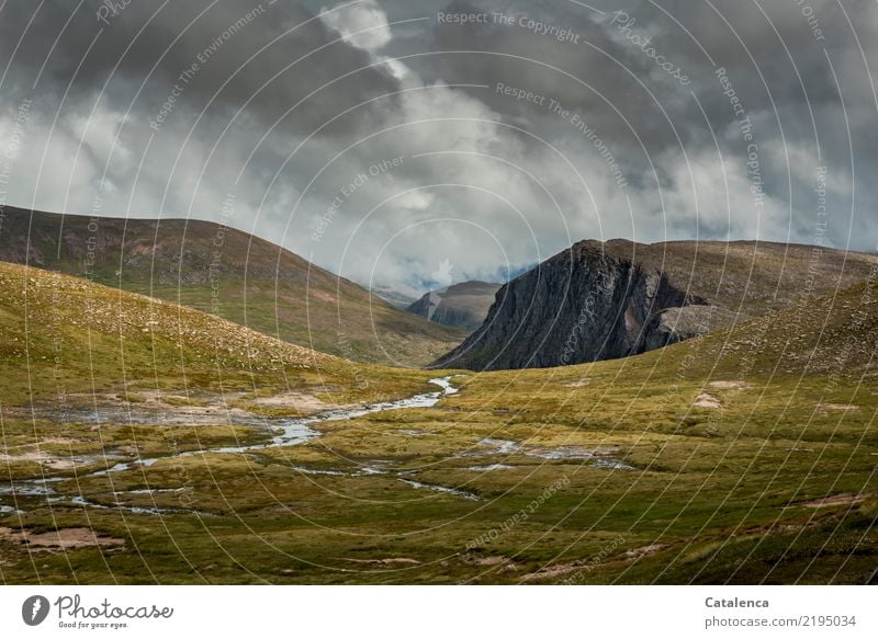 Hochmoorlandschaft Berge u. Gebirge wandern Landschaft Urelemente Himmel Gewitterwolken Horizont Sommer schlechtes Wetter Regen Gras Moos Wildpflanze Hügel