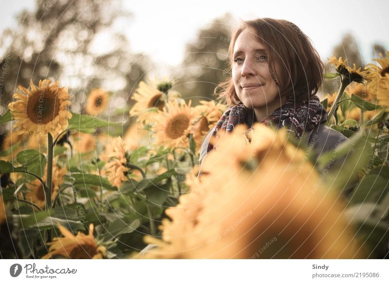 Sunflower1 Mensch feminin Junge Frau Jugendliche Erwachsene Kopf 18-30 Jahre 30-45 Jahre Natur Pflanze Herbst Schönes Wetter Blatt Blüte Grünpflanze Sonnenblume