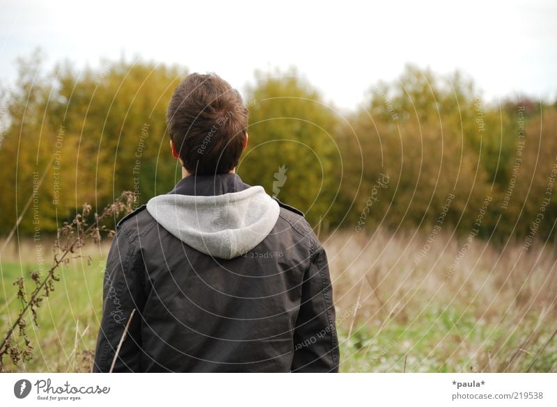 Ausschau halten... Mensch maskulin Junger Mann Jugendliche Kopf Haare & Frisuren Rücken 1 18-30 Jahre Erwachsene Landschaft Himmel Herbst Sträucher Jacke