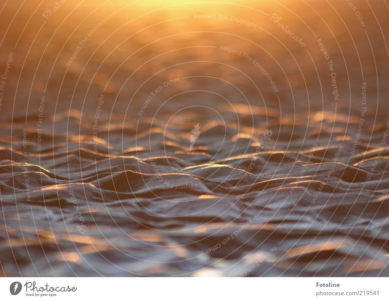 Warten auf die Welle Umwelt Natur Landschaft Urelemente Erde Sand Küste Strand Ostsee hell natürlich Wärme braun gold Sandstrand Sonnenaufgang Sandwellen orange