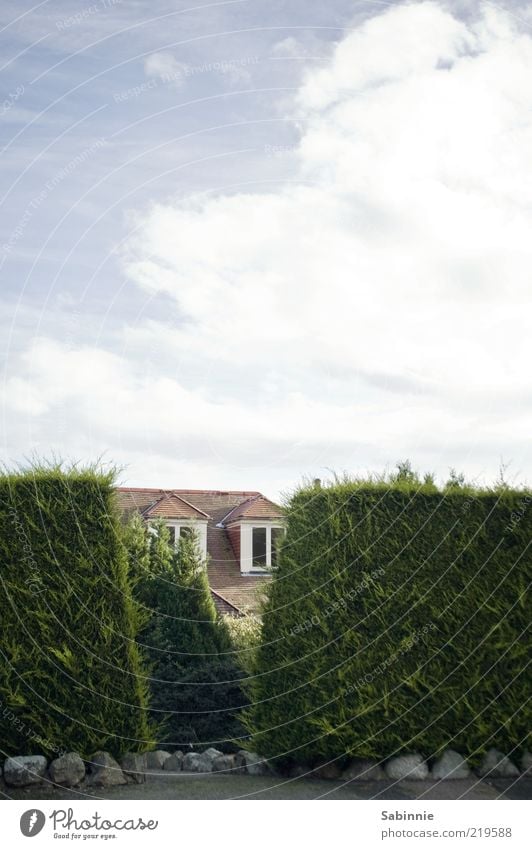 Peek a Boo Haus Traumhaus Himmel Wolken Sommer Schönes Wetter Hecke Garten Aberdeen Schottland Einfamilienhaus Architektur Cottage Fenster Dach Erker