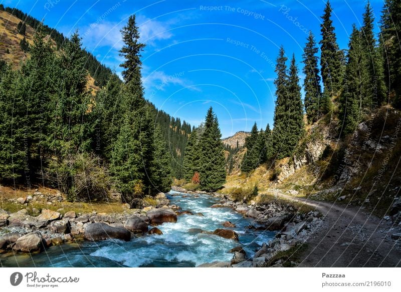 Kirgisische Idylle Erholung Ausflug Abenteuer Freiheit Camping wandern Umwelt Natur Wasser Wald Hügel Berge u. Gebirge Schlucht entdecken natürlich wild