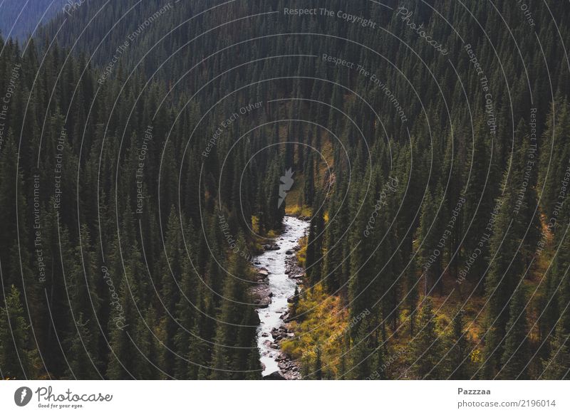 Arashan harmonisch ruhig Abenteuer Ferne Wassersport wandern Yoga Umwelt Natur Landschaft Pflanze Wald Berge u. Gebirge Schlucht Bach Fluss wild Farbfoto