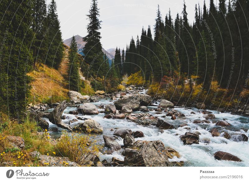 Ein Bach in Kirgistan kirgistan Kirgisistan Berge Hochgebirge Wildnis Gebirge Asien Zentralasien Gebirgsfluß Wald Bäume tian shan