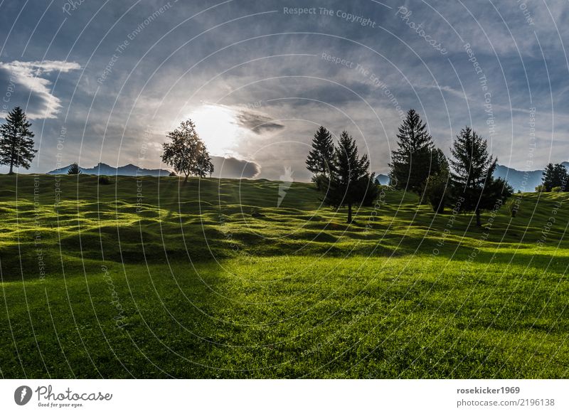 Sonnenaufgang ruhig Ferien & Urlaub & Reisen Sommerurlaub Berge u. Gebirge wandern Joggen Natur Landschaft Sonnenlicht Baum Gras Erholung gehen genießen