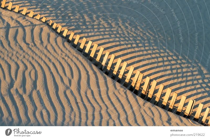 Dünenbremse Freizeit & Hobby Sommer Sommerurlaub Strand Natur Landschaft Sand Schönes Wetter Wind Wärme Dürre gelb Symmetrie Linie Zaun Mauer Stranddüne Holz