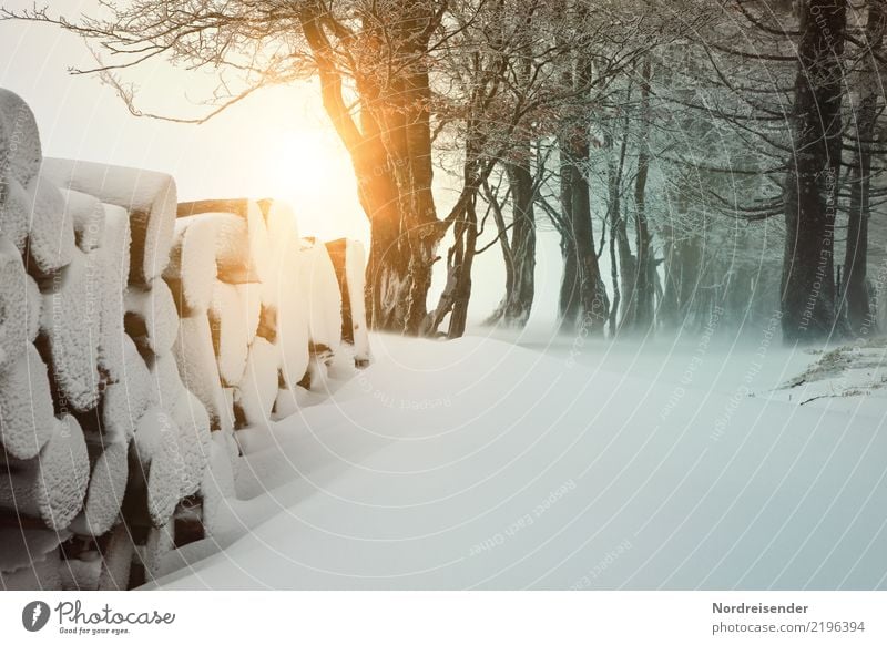 Winter im Schwarzwald Sonne Schnee Winterurlaub wandern Landwirtschaft Forstwirtschaft Natur Landschaft Urelemente Sonnenaufgang Sonnenuntergang Klima Wetter