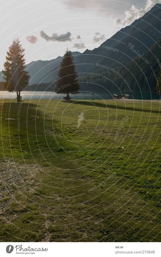 Schatten ........ | Antholz [14] Himmel Sommer Herbst Schönes Wetter Baum Gras Wiese Alpen Berge u. Gebirge Antholzer Tal Südtirol Antholzer See Seeufer Strand