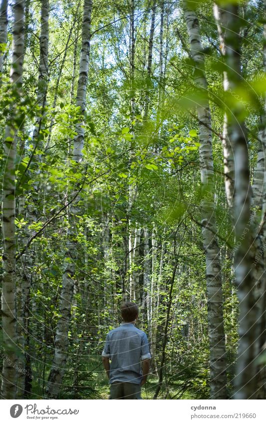 Grünes Rauschen Lifestyle Stil Gesundheit Leben Wohlgefühl Zufriedenheit Erholung ruhig Meditation Ausflug Freiheit wandern Mensch Rücken Umwelt Natur Sommer