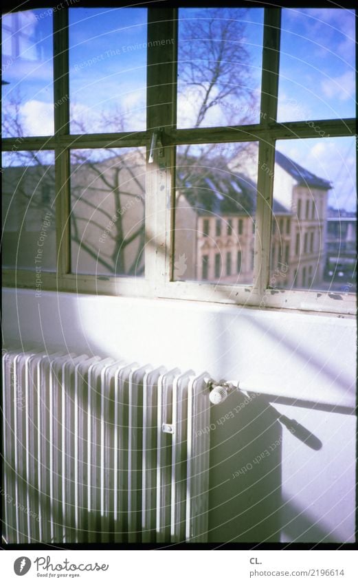 fenster und heizung Häusliches Leben Wohnung Raum Schönes Wetter Baum Düsseldorf Stadt Haus Gebäude Mauer Wand Fenster Heizung analog Fensterblick Altbauwohnung