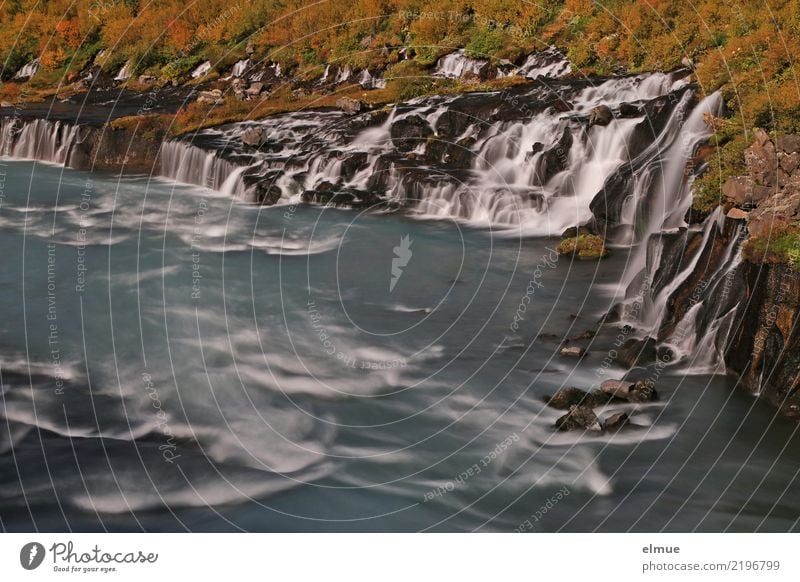 Hraunfossar Natur Landschaft Urelemente Wasser Felsen Küste Insel Island Hvítá Reykholt Westisland Wasserfall Wassermassen fallen bedrohlich Bekanntheit