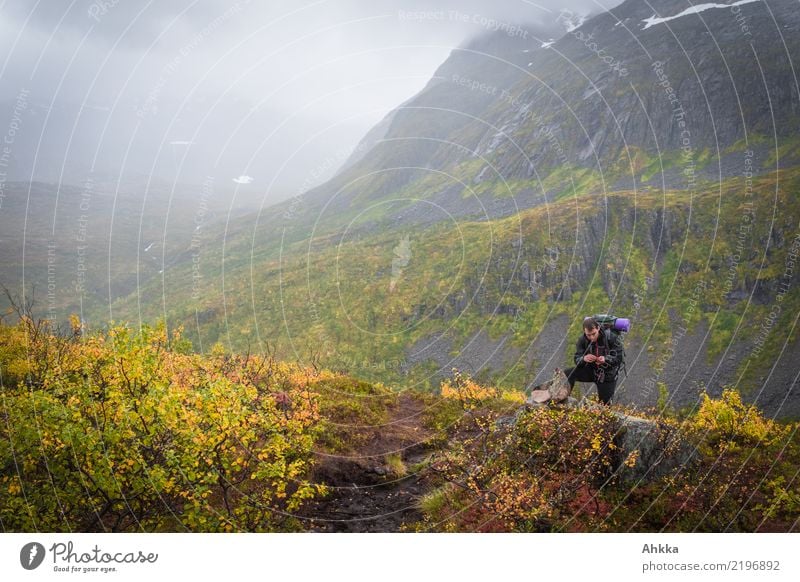 Junger Mann in Herbstlandschaft Norwegens, zum Träumen Leben harmonisch Sinnesorgane ruhig Ferien & Urlaub & Reisen Abenteuer Ferne Berge u. Gebirge wandern