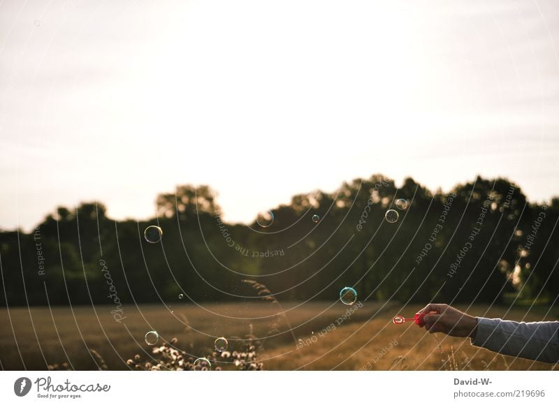 Freiheit Spielen Seifenblase Sommer Sommerurlaub Arme Hand Kunst Natur Landschaft Luft Sonnenaufgang Sonnenuntergang Schönes Wetter Feld Wald Pullover Erholung