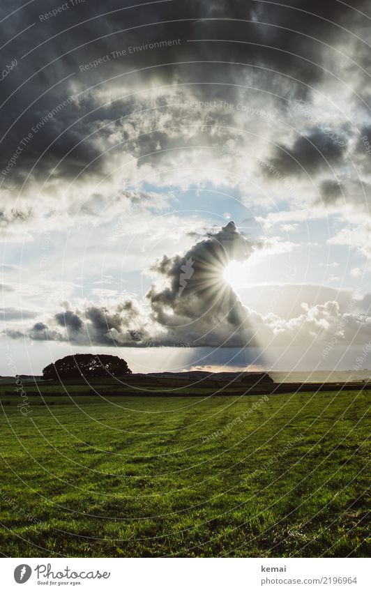 Sonnenlicht deluxe harmonisch Wohlgefühl Zufriedenheit Sinnesorgane Erholung Abenteuer Ferne Freiheit Umwelt Natur Landschaft Himmel Wolken Sommer