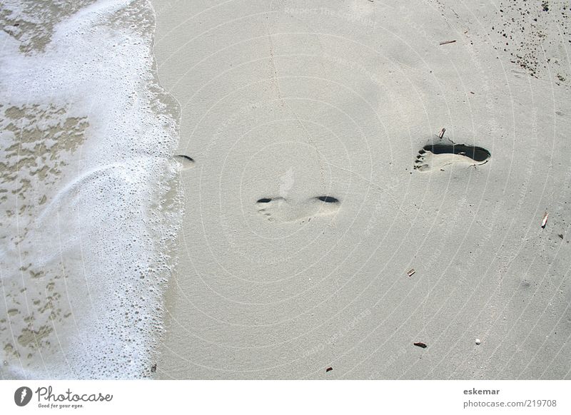 tapp tapp harmonisch ruhig Sommer Sommerurlaub Natur Urelemente Sand Wasser Schönes Wetter Wärme Strand Meer Mittelmeer Insel Formentera Spanien Balearen Spuren