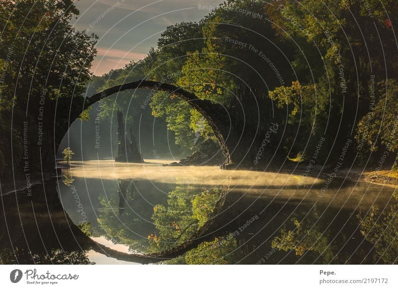 rakotzbrücke am morgen Natur Landschaft Herbst Seeufer Brücke wandern alt Sehenswürdigkeit Stein Naturschutzgebiet Nebel Wasser Farbfoto Außenaufnahme