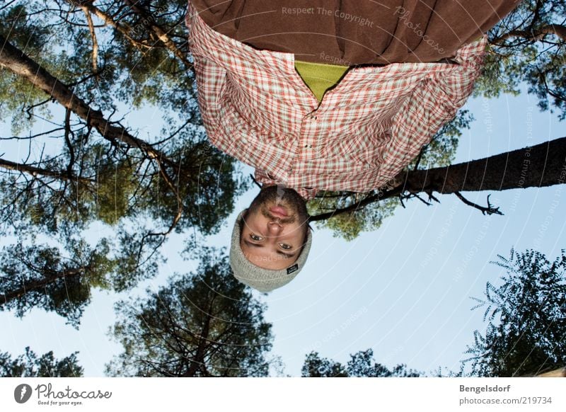 Sagt die Ameise zum Riesen Ferne Mensch Junger Mann Jugendliche Natur Wolkenloser Himmel Baum Wald Entschlossenheit grün oben unten klein groß Perspektive