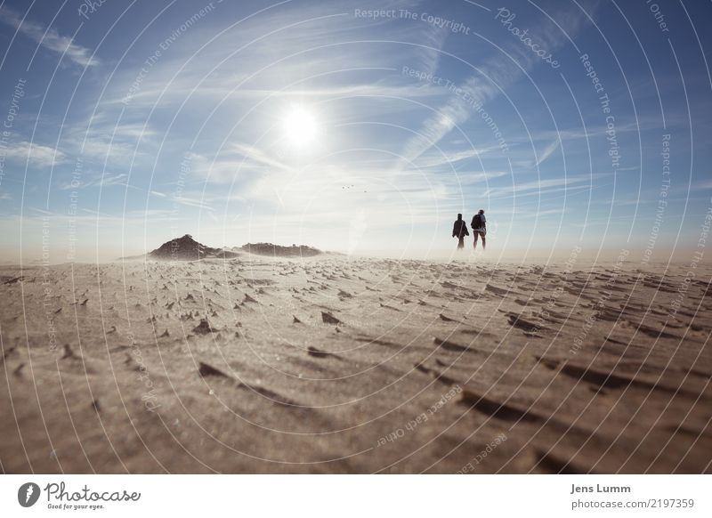 A Walk Mensch maskulin feminin Frau Erwachsene Mann Paar Partner 2 Sommer Schönes Wetter Wind Küste Strand Nordsee gehen wandern schön blau braun gelb gold weiß