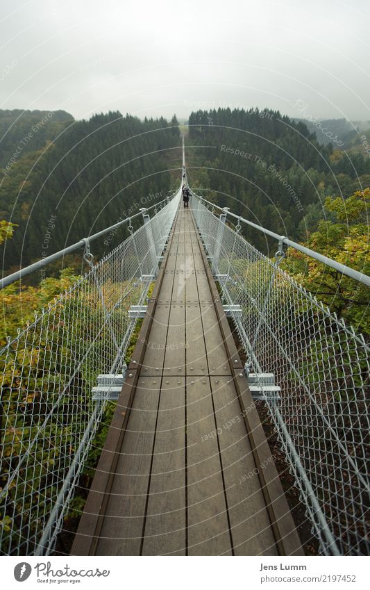 Geierlay Brücke - Mörsdorf Freizeit & Hobby Ferien & Urlaub & Reisen Tourismus Ausflug wandern Mensch Natur Herbst schlechtes Wetter Wald Sehenswürdigkeit