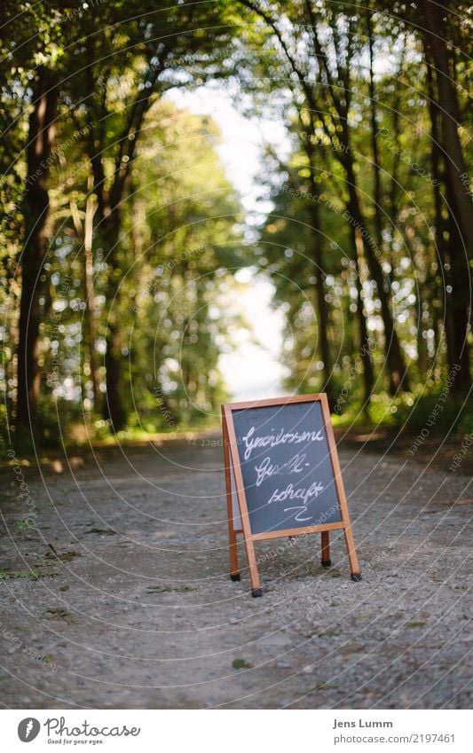 Geschlossene Gesellschaft Sommer Party Veranstaltung Restaurant Feste & Feiern Essen trinken Hochzeit Schönes Wetter Baum Wald braun gelb grau grün