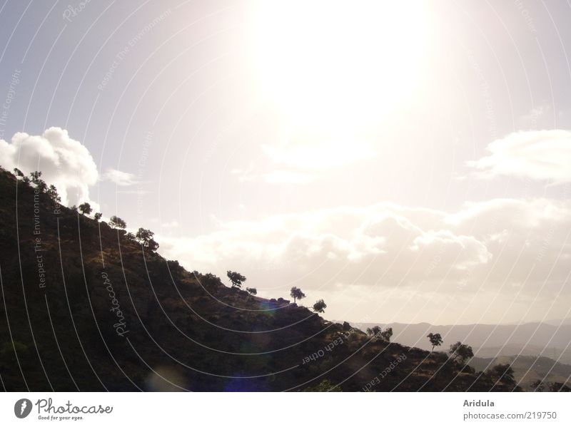 roca y sol harmonisch ruhig Berge u. Gebirge Umwelt Natur Landschaft Pflanze Luft Himmel Wolken Sonne Herbst Wetter Baum leuchten ästhetisch Ferne glänzend